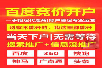 某电商平台的SEM广告投放策略及效果评估